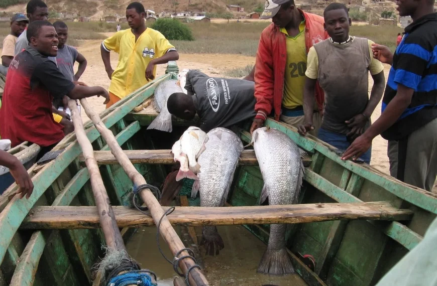 De Mooiste Landen per Continent ter Wereld Top 100 Angola Bezienswaardigheden