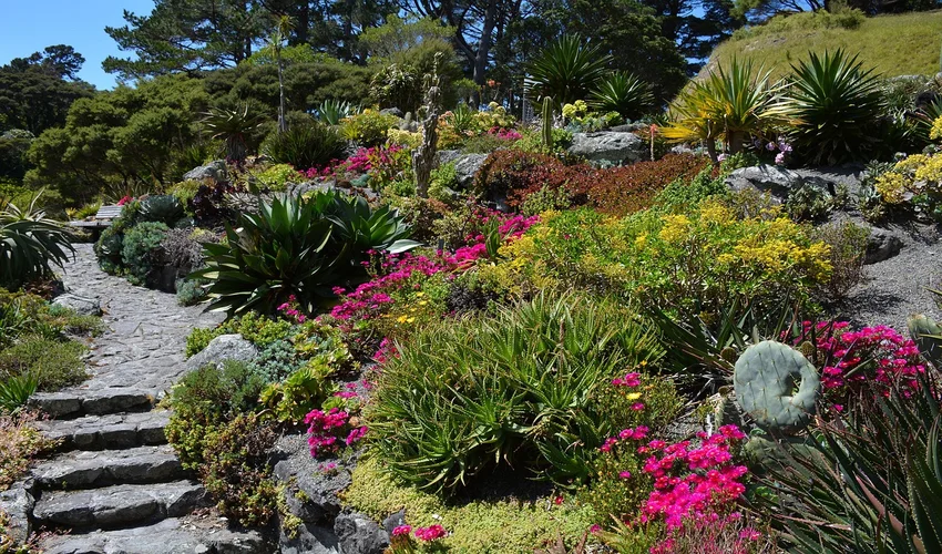 Nieuw-Zeeland Bezienswaardigheden en Activiteiten Top 28 Botanical Gardens