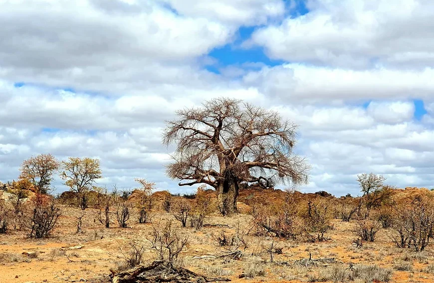 De Mooiste Landen per Continent ter Wereld Top 100 Botswana Bezienswaardigheden