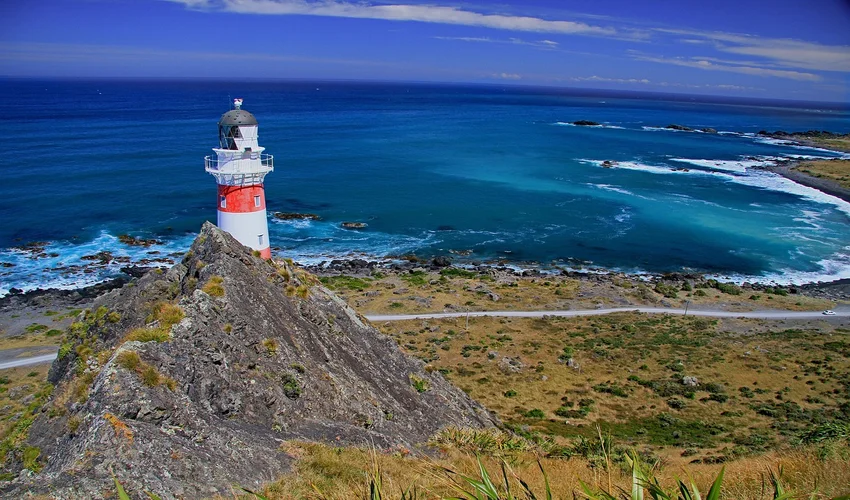 Nieuw-Zeeland Bezienswaardigheden en Activiteiten Top 28 Cape Palliser Lighthouse