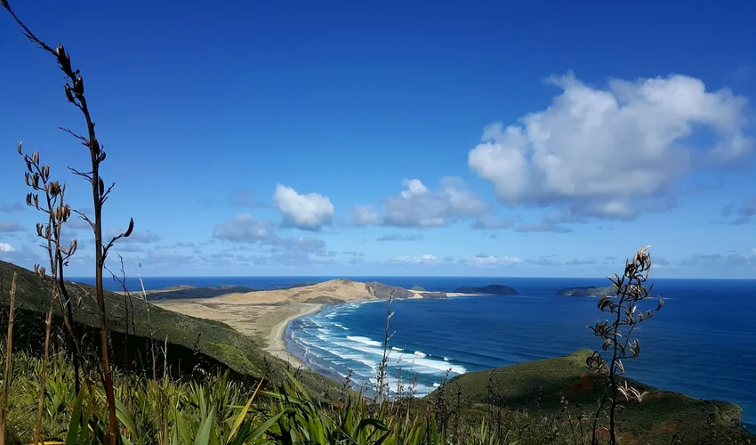 Nieuw-Zeeland Bezienswaardigheden en Activiteiten Top 28 Cape Reinga