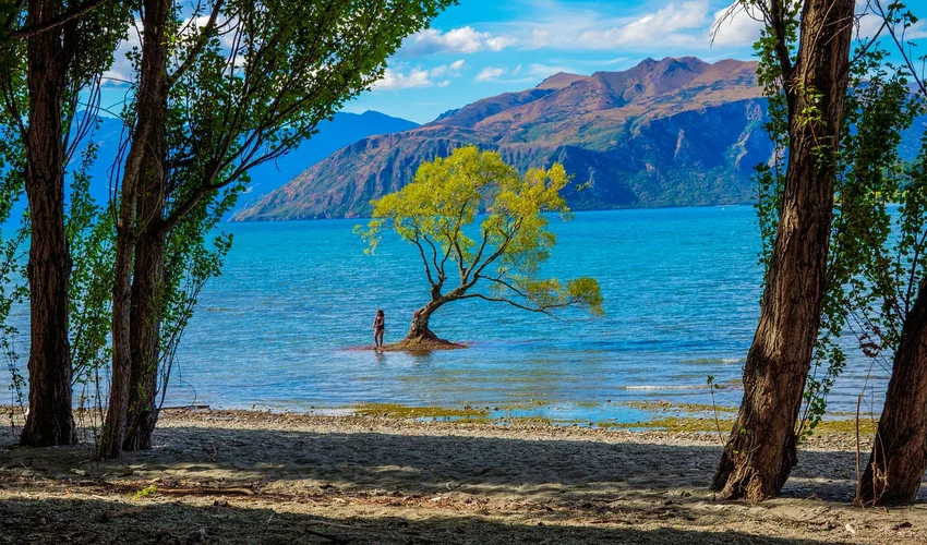 Nieuw-Zeeland Bezienswaardigheden en Activiteiten Top 28 Lake Wanaka