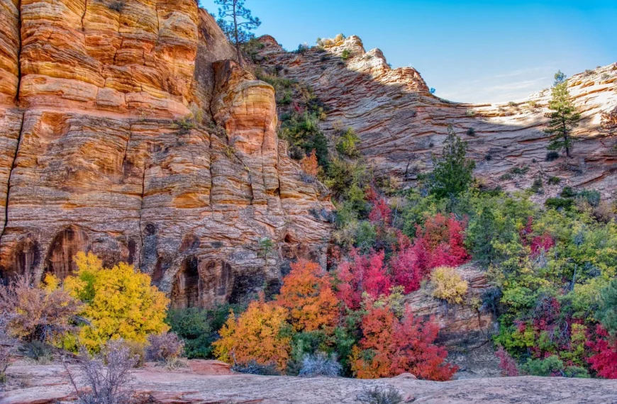 Natuurroute USA Utah - Zion en Bryce Canyon