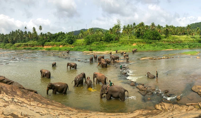 Populairste Tropische Toeristische Landen Op stap met een lokale gids in Sri Lanka