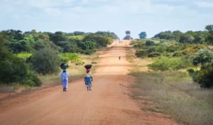 Lees meer over het artikel Klimaat van Mozambique Gemiddeld per Regio