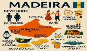 Lees meer over het artikel Madeira Informatie. Ontdek hier alles wat je moet weten.